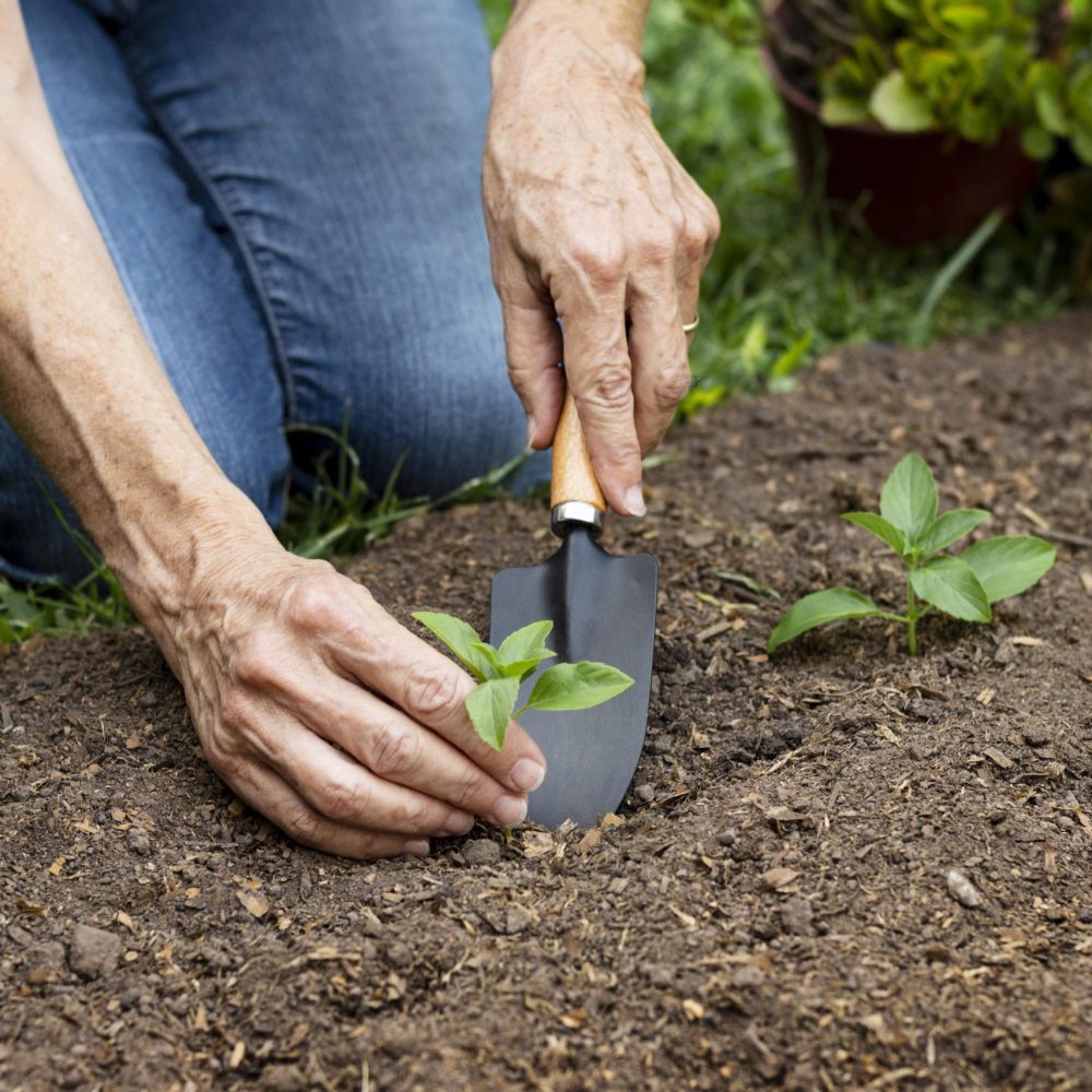 Help with Gardening Service in London